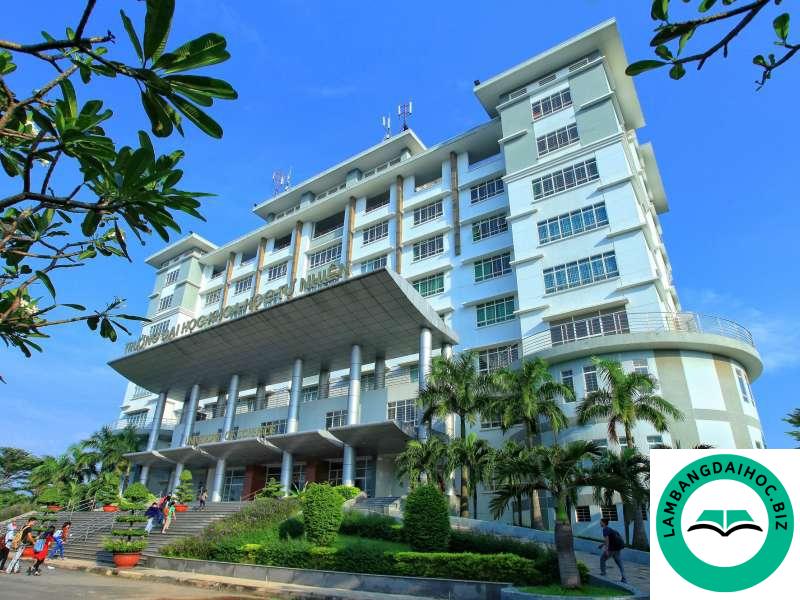 Trường Đại học Khoa học Tự nhiên - ĐHQG TPHCM 2024