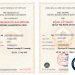Có nên làm bằng đại học hay không