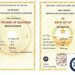Làm bằng đại học bách khoa
