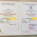 Làm bằng đại học ngoại ngữ