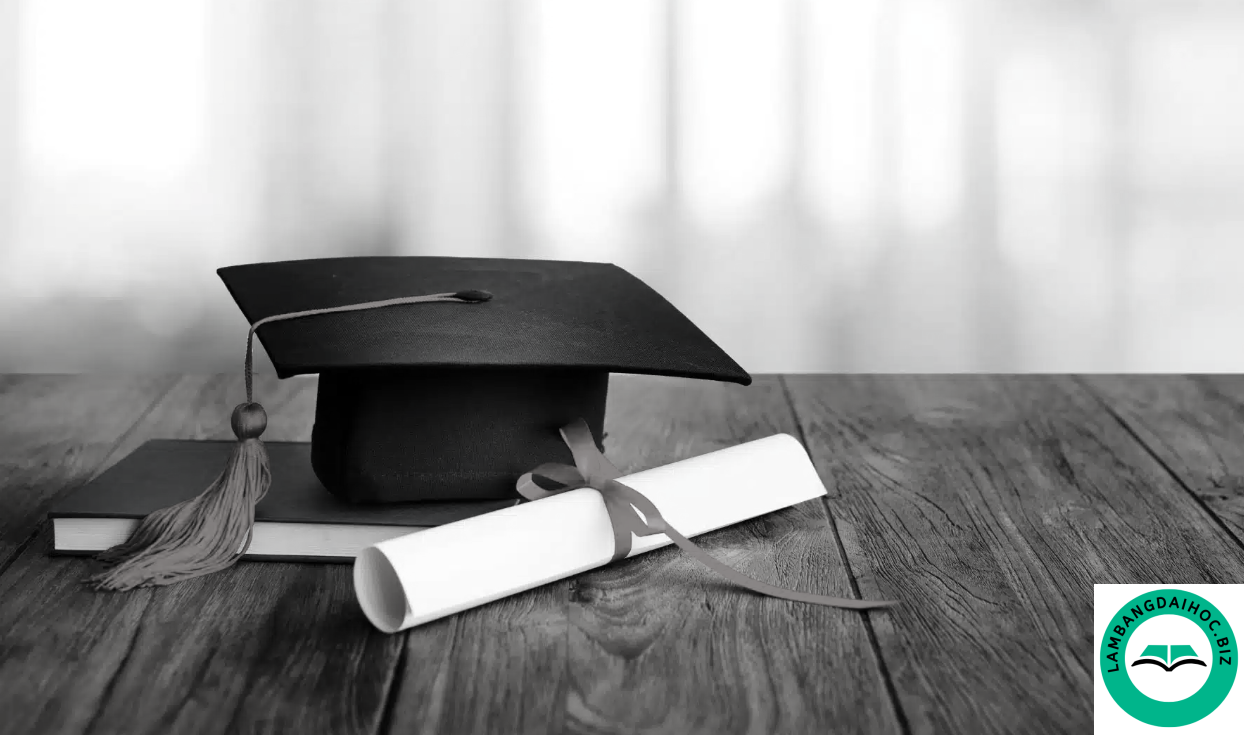 Mất bằng đại học có được cấp lại không