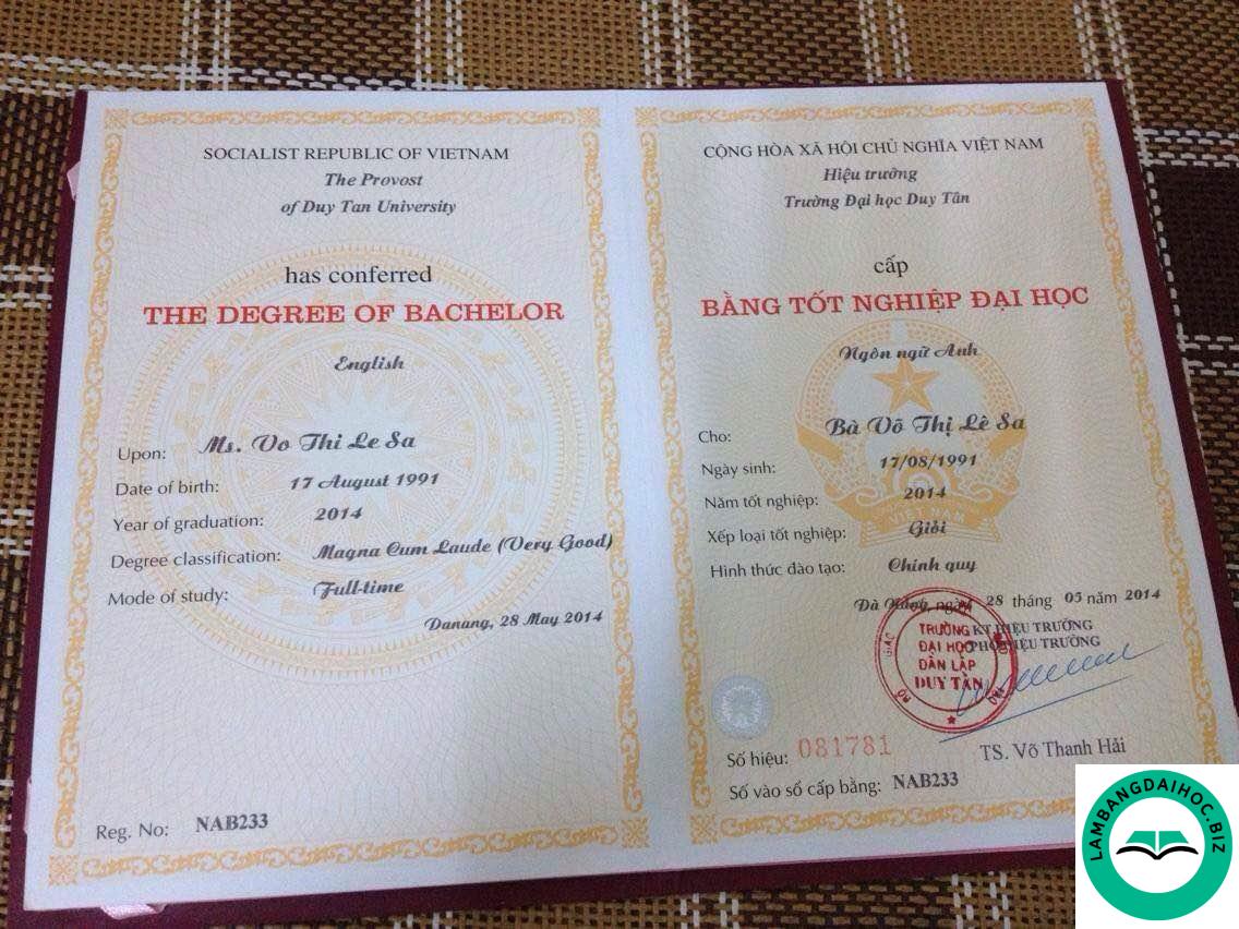 Nên làm bằng đại học ngành nào